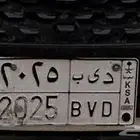 لوحة د ى ب 2025