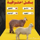 غنم