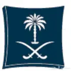 استشارات قضايا نصب والاحتيال المالي