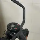 غزال الطاير
