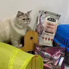 قطوه للبيع