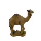 تحف جمل حبة و جملة