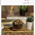 دقة مروكي بيور