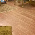 باركيه