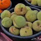 مدخل الرصاص مع الكوبري