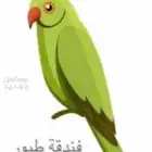 فندقة طيور
