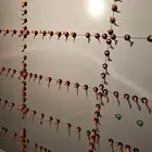 مبلط بلاط البا كستأني