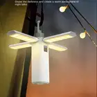 المصباح العجيب .. رفيق الدرب