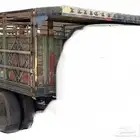 صندوق جمس أستيك بودي