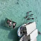 رحلات بياضه و صيد