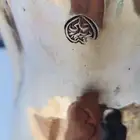 دله
