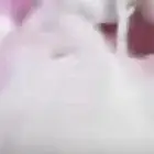 قطن صافي