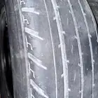 جنوط جيب
