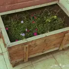 صندوق خشبي ورد طبيعي