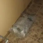 تراب رمل للقطط عشرين كيلو بخمسين ريال فقط