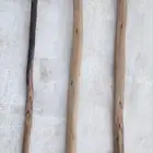 مسوط عيش