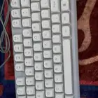 موس كيبور توي شريه للبيع