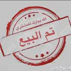 عنز متاومه