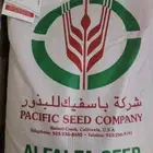 مطلوب بذور برسيم باسفيك امريكي كاف 101