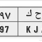 للبيع لوحة مميزه