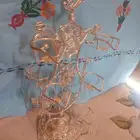 شيال فناجيل