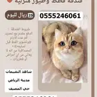 فندقة قطط وطيور 6061 24 0555 شاهد التقييمات