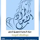 مزادات المحيا