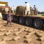 نجيلة   ثيل مع التركيب و التوصيل