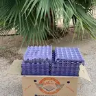أطباق بيض فارغة - القصيم - البكيرية