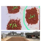 ايجار بوكلين توريد صبيز  بحص  رمل ابيض