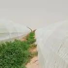 بيوت محميه مكيفه للبيع
