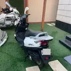 دباب