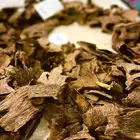 عود كمبودي قواقع بسعر الجملة فرصة لاتفوت ..