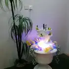 نافورة قطر الندى