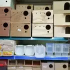 جديد مستلزمات طيور وقطط وهامستر وسلاحف نوادر