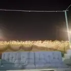 مخيم للايجار عروض الافتتاح