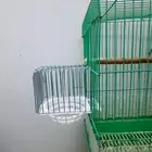 عش كناري خارجي