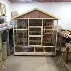 حضيرة عصافير