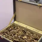 عود سيلاني غابات ادم سوبر فخم جدا