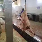 يوجد ذبايح سواكني نظيفه وتربايه