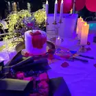 مجموعه بوت جده للرحلات والحفلات