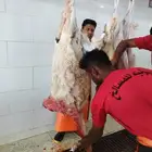 طليان نظيفه على الشرط