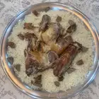 طباخ حنيذ على اصوله شغل بيت