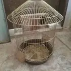 قفص طيور للبيع