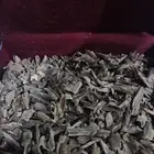 انتهت الكمية عود موي هندي جامبو وفيزا دبل سوبر وسوبر مرتفع