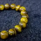 اسوارة النمر