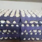 بيض بلدي