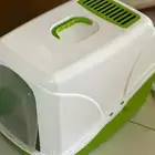 اغراض قطط جديدة