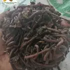 بالتقسيط على اربعة اشهر ابدا مشروعك عرض على دودة الارض