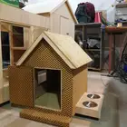 بيت قطط او كلاب زينه